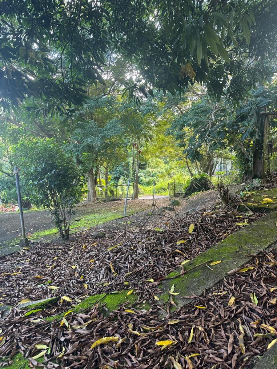 5 hab · 3 baños · CANOVANAS — foto 4