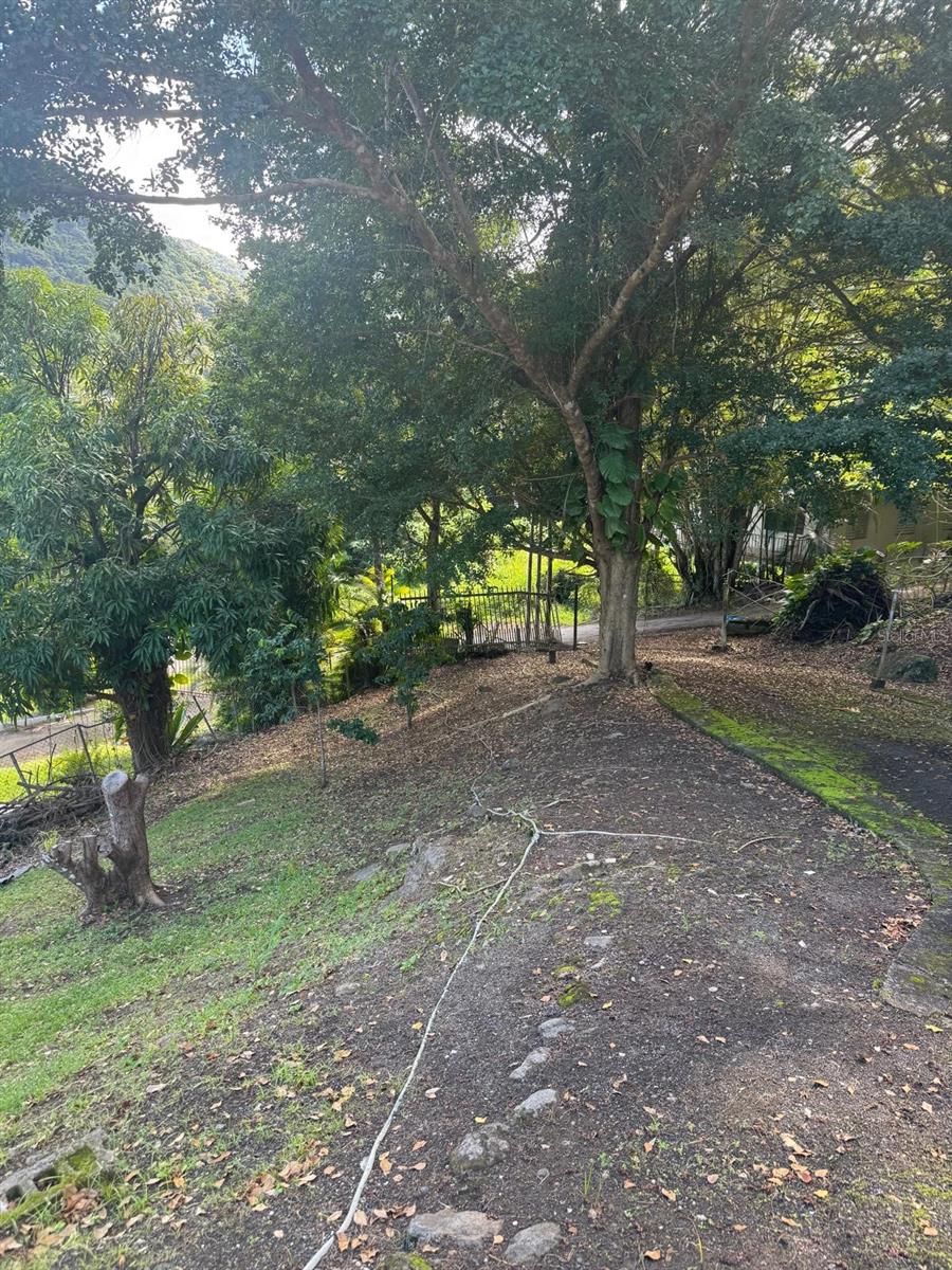 5 hab · 3 baños · CANOVANAS — foto 5