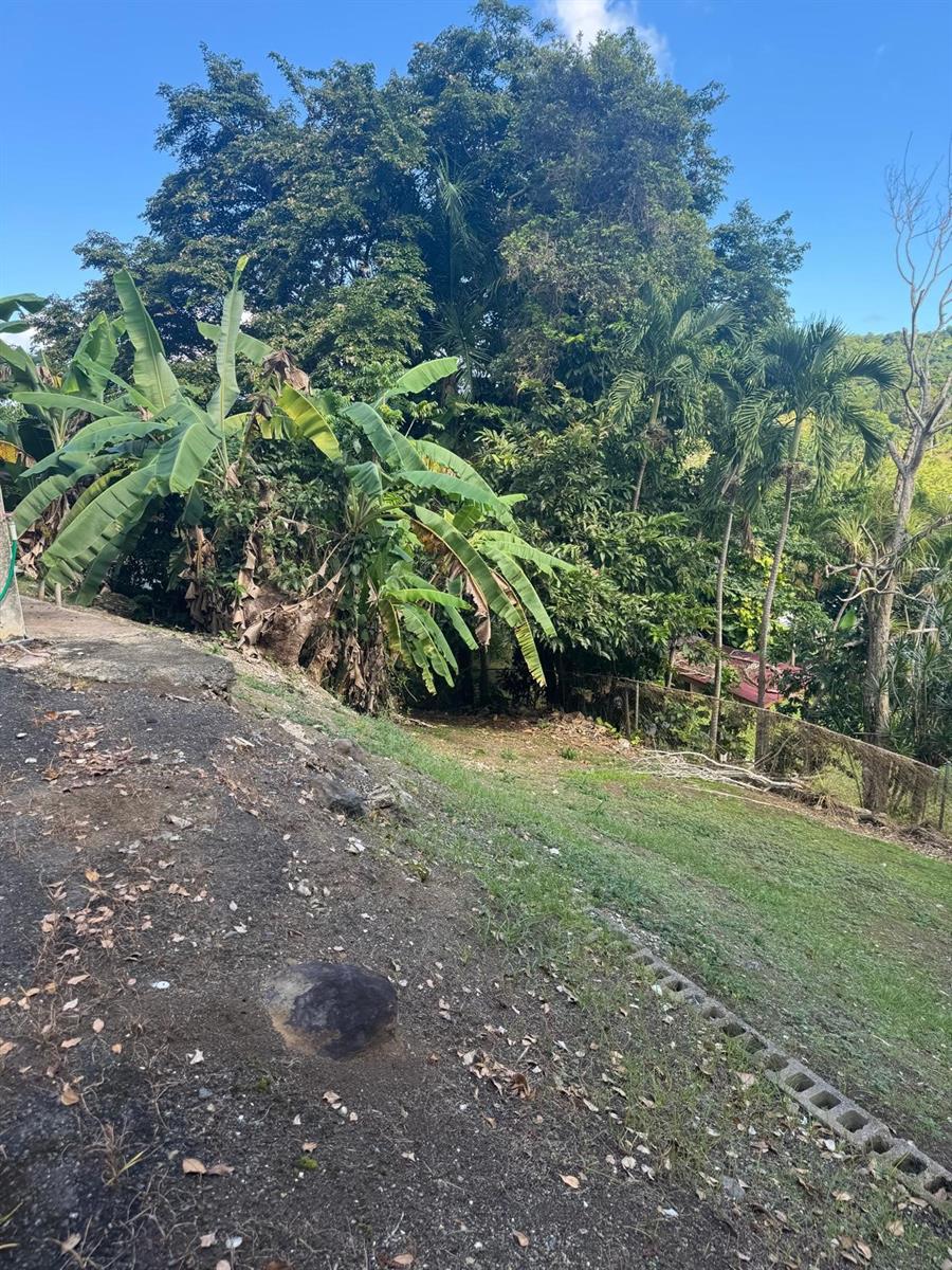 5 hab · 3 baños · CANOVANAS — foto 6