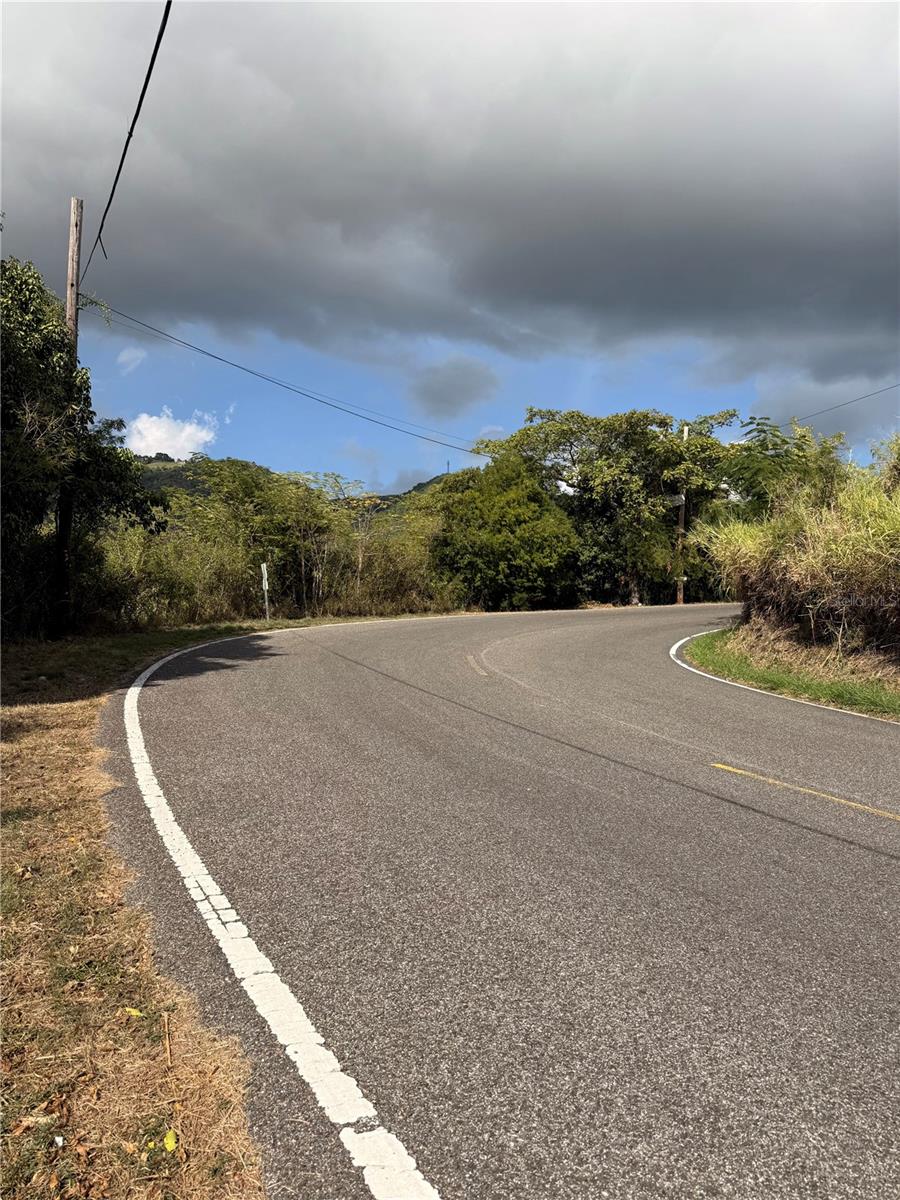 COAMO — foto 4