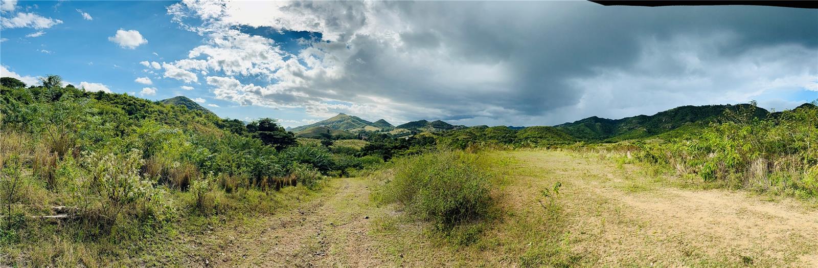 COAMO — foto 5