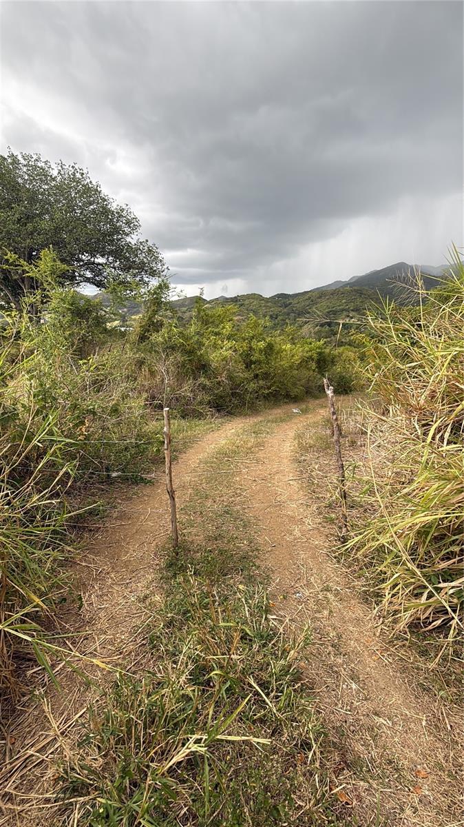 COAMO — foto 6