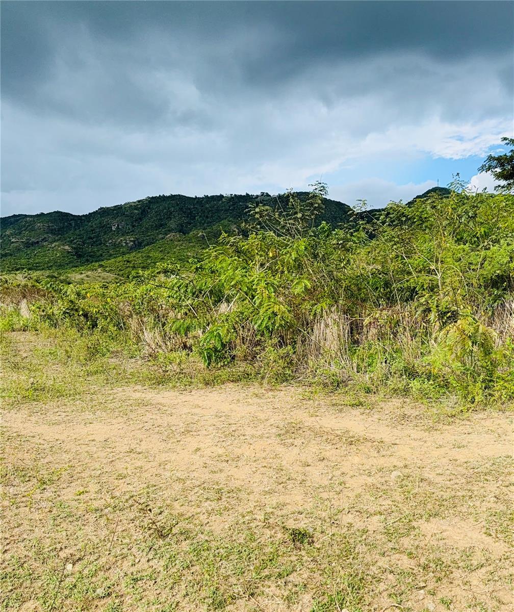 COAMO — foto 7