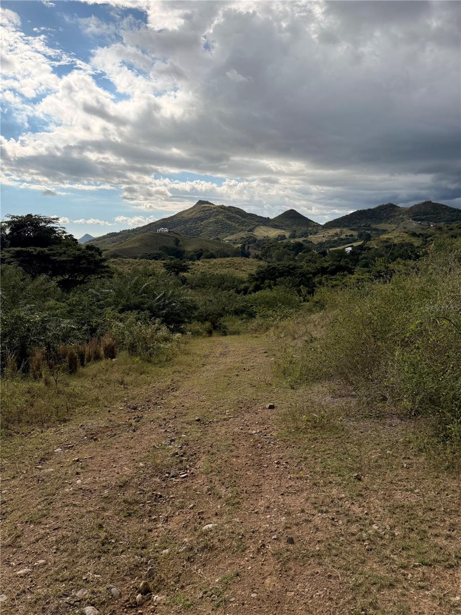 COAMO — foto 8