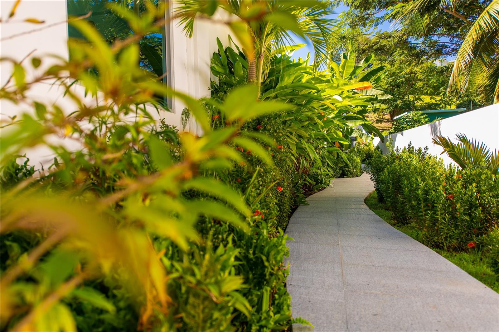 5 hab · 6 baños · VIEQUES — foto 8