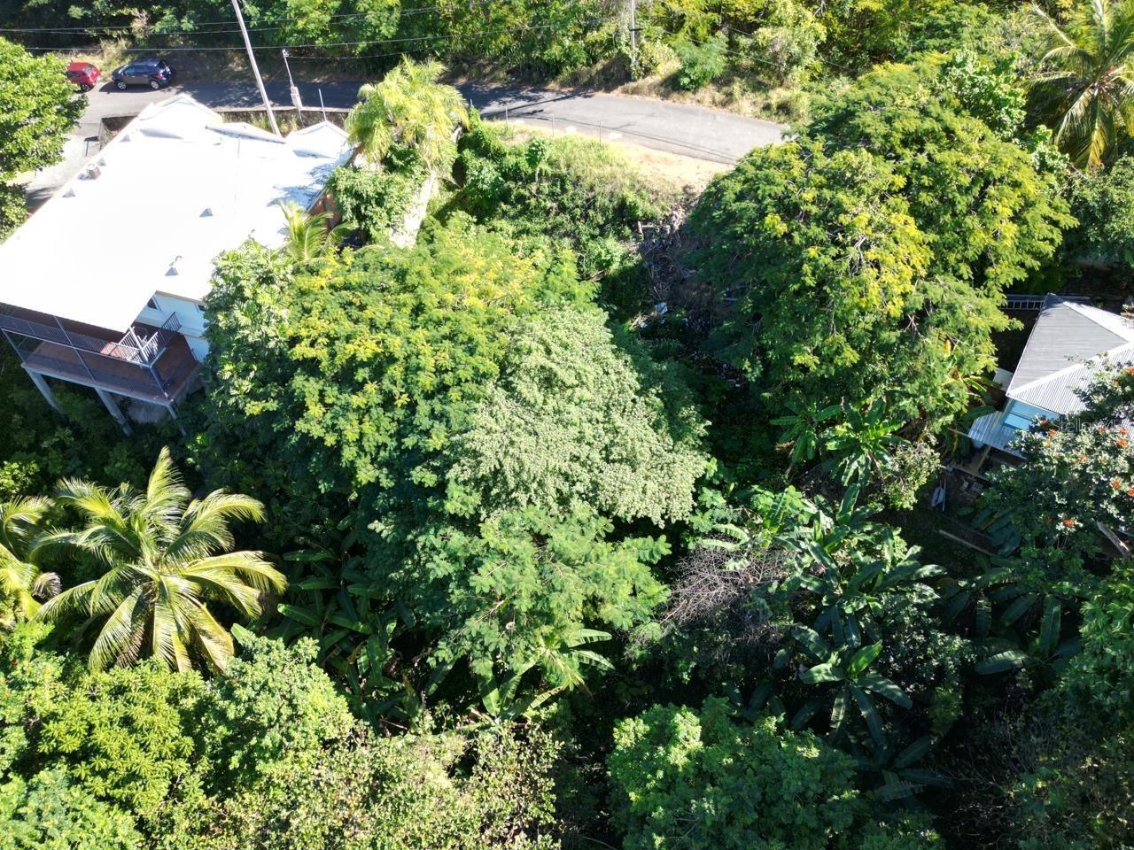RINCON — foto 2