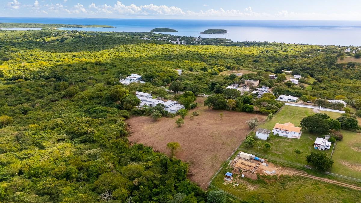 VIEQUES