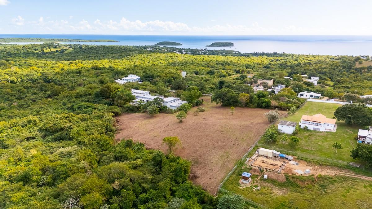 VIEQUES — foto 5