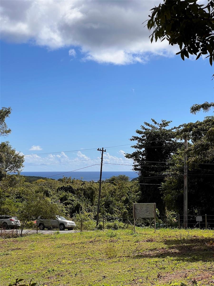 VIEQUES — foto 6