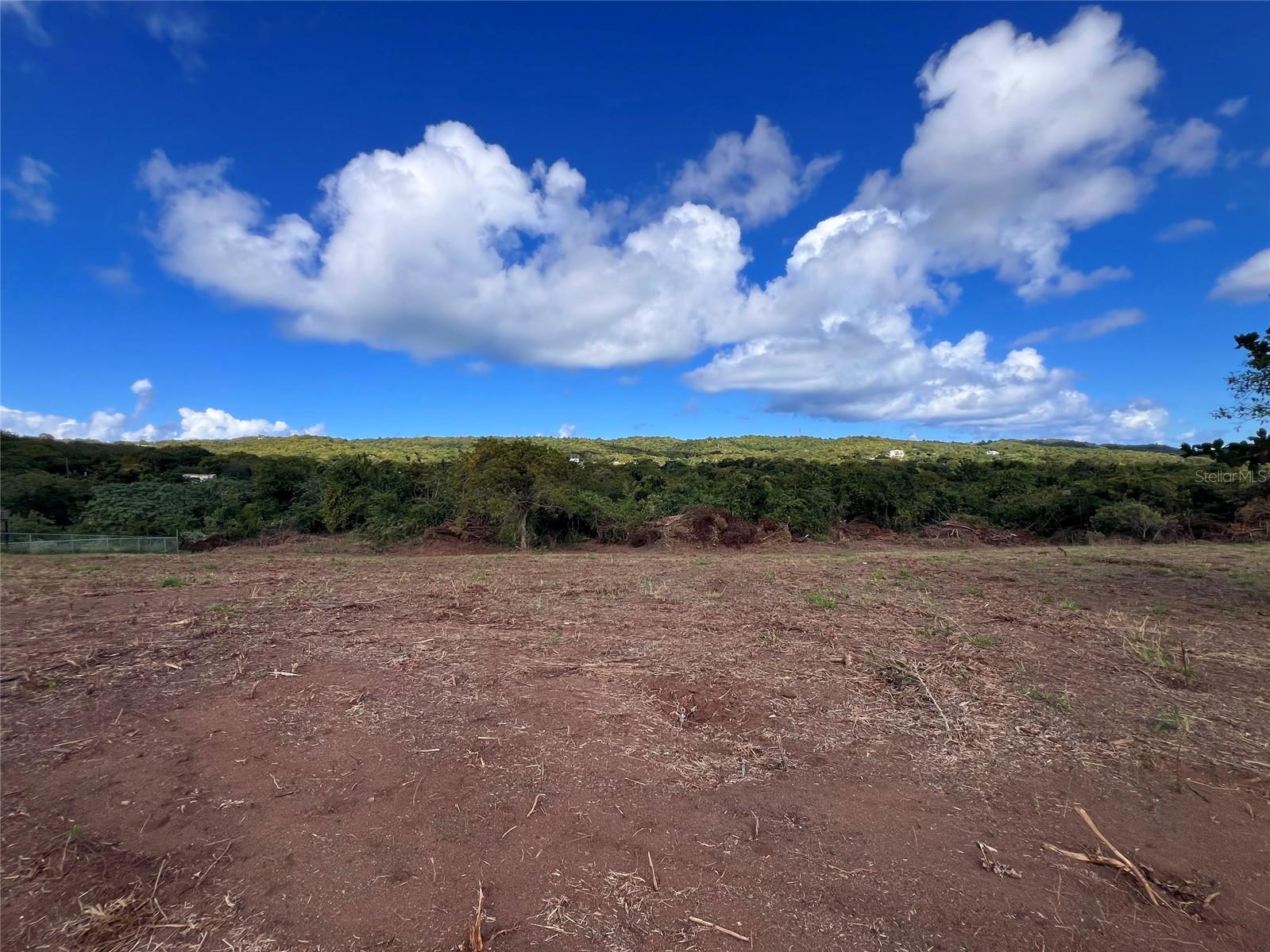 VIEQUES — foto 7