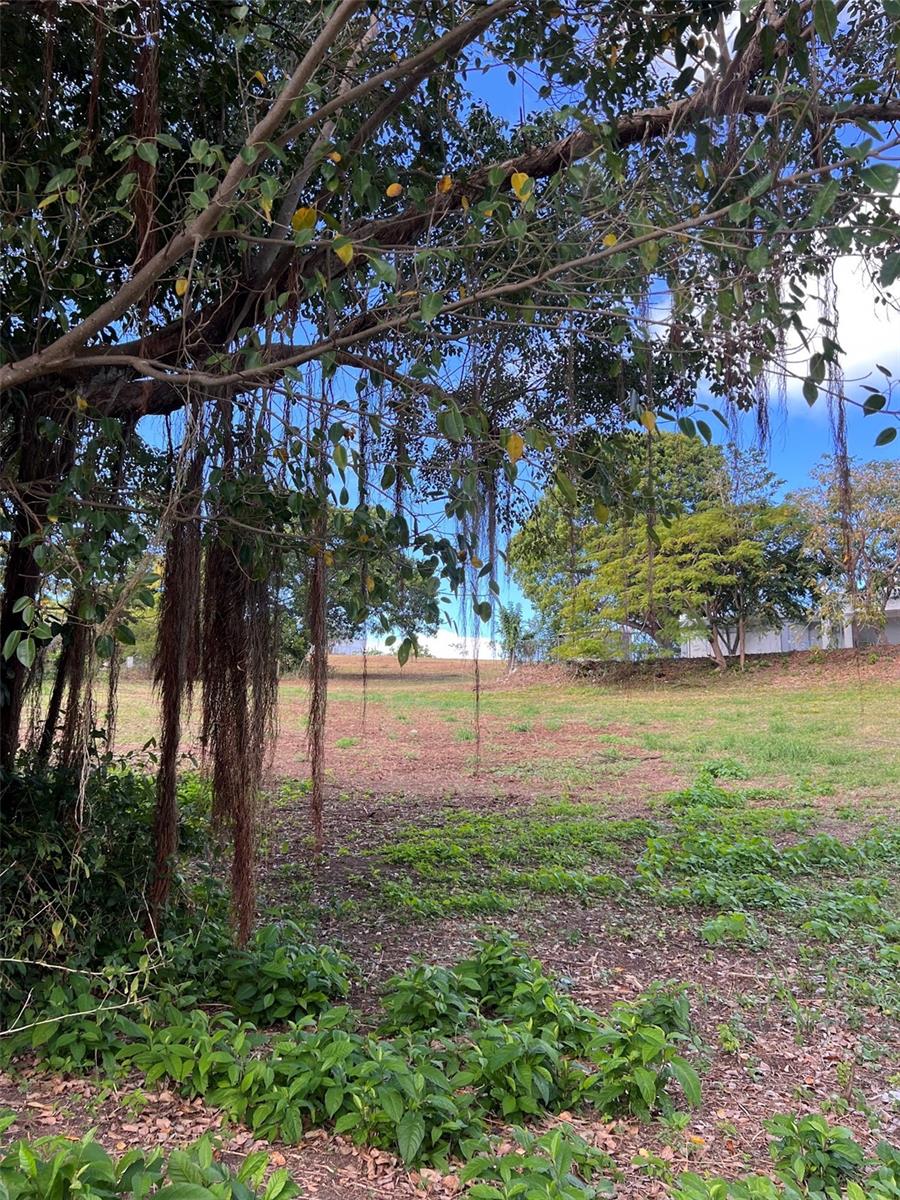VIEQUES — foto 9