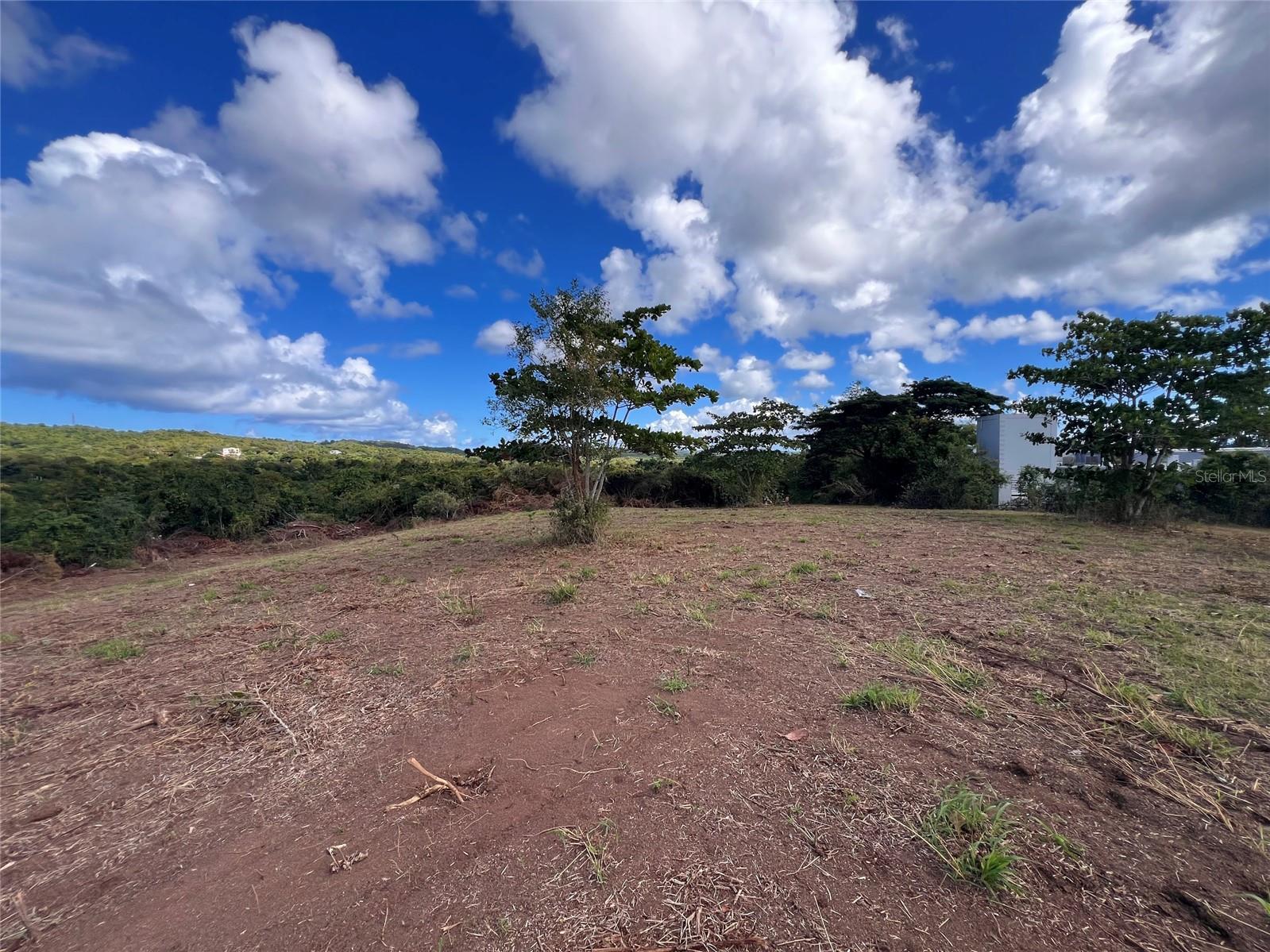 VIEQUES — foto 10