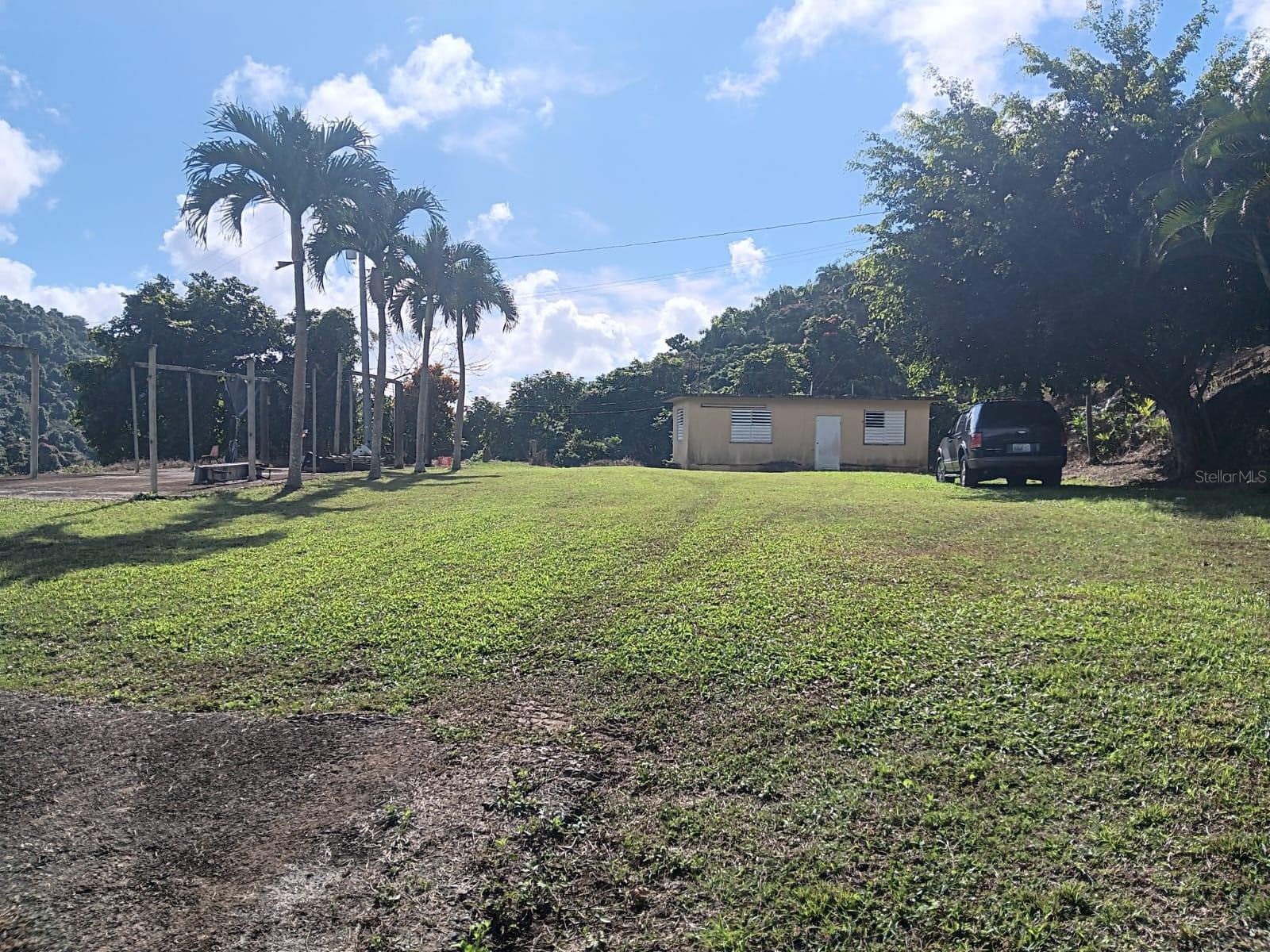 PATILLAS — foto 2