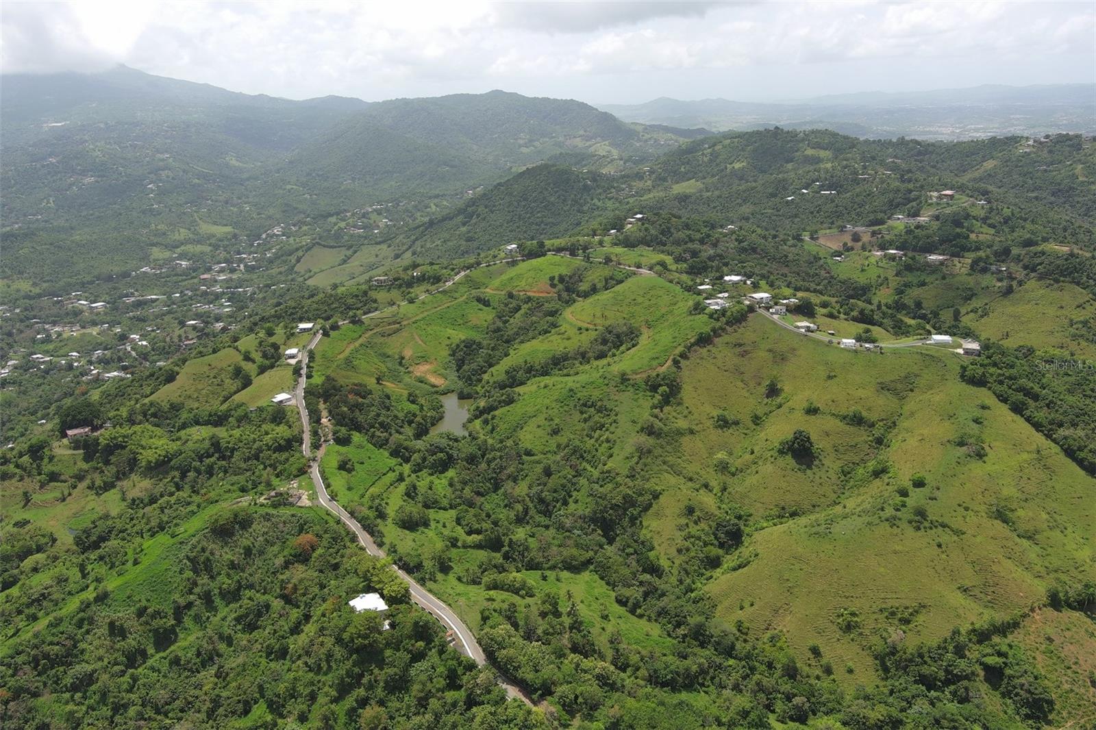 CAROLINA — foto 4