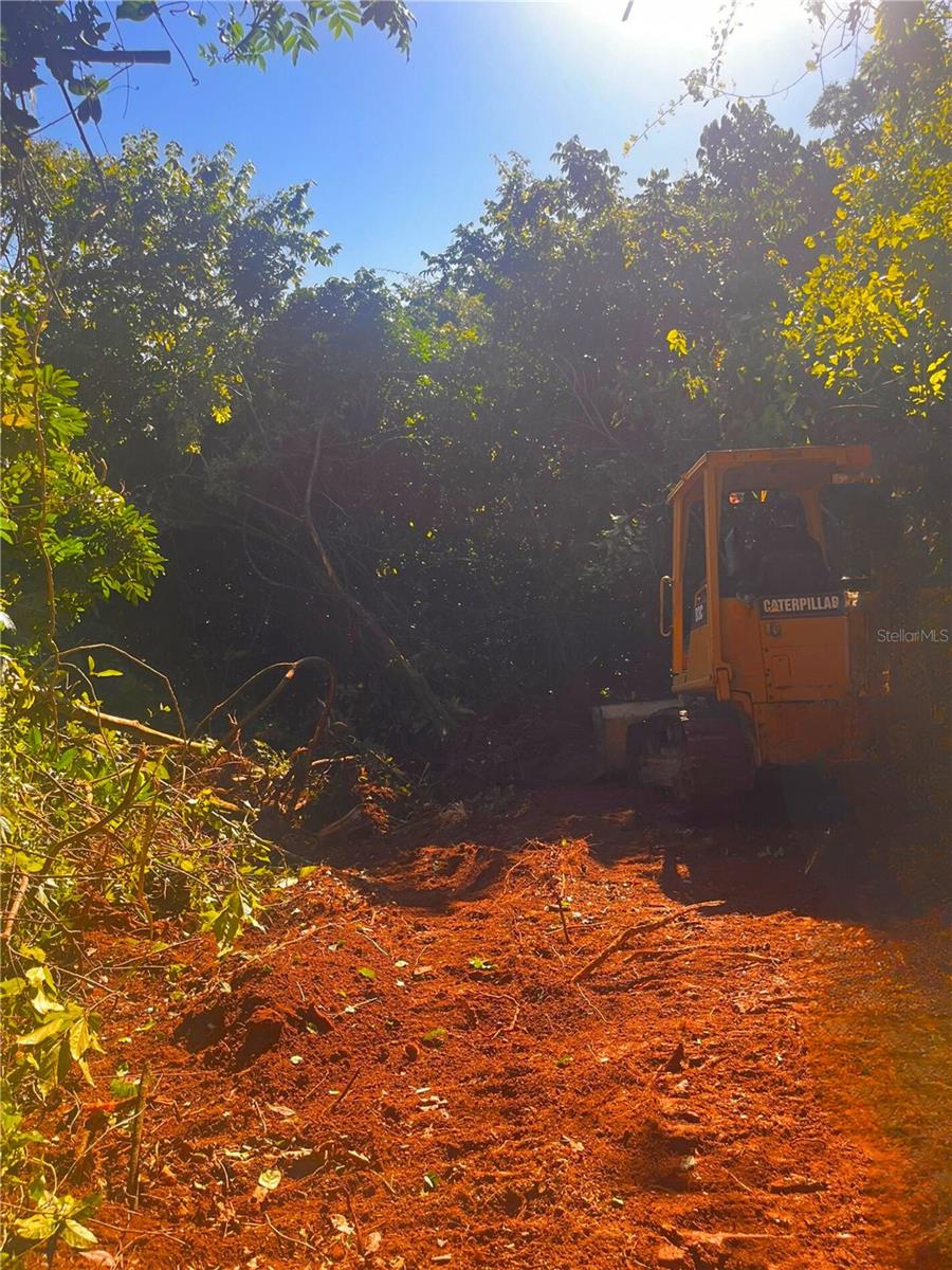 CIALES — foto 2
