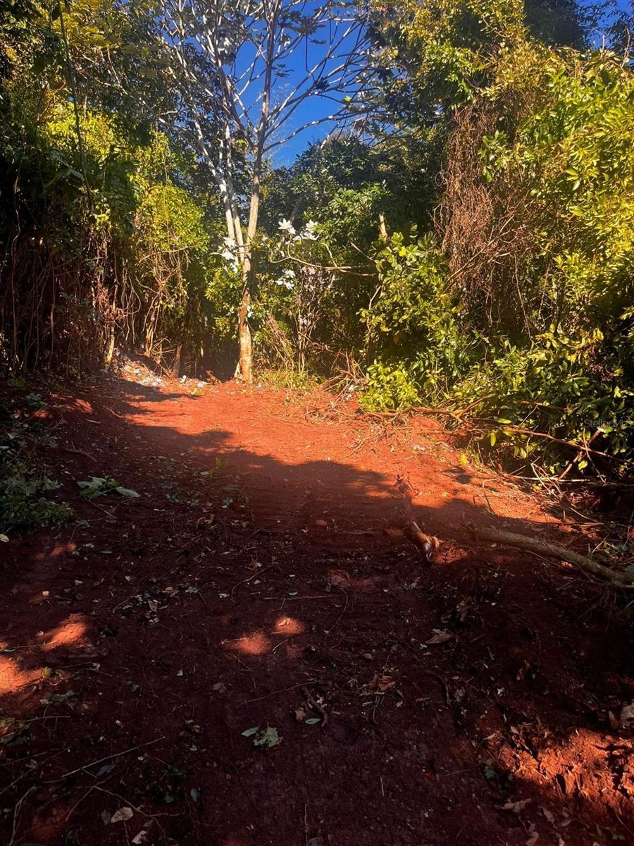 CIALES — foto 3