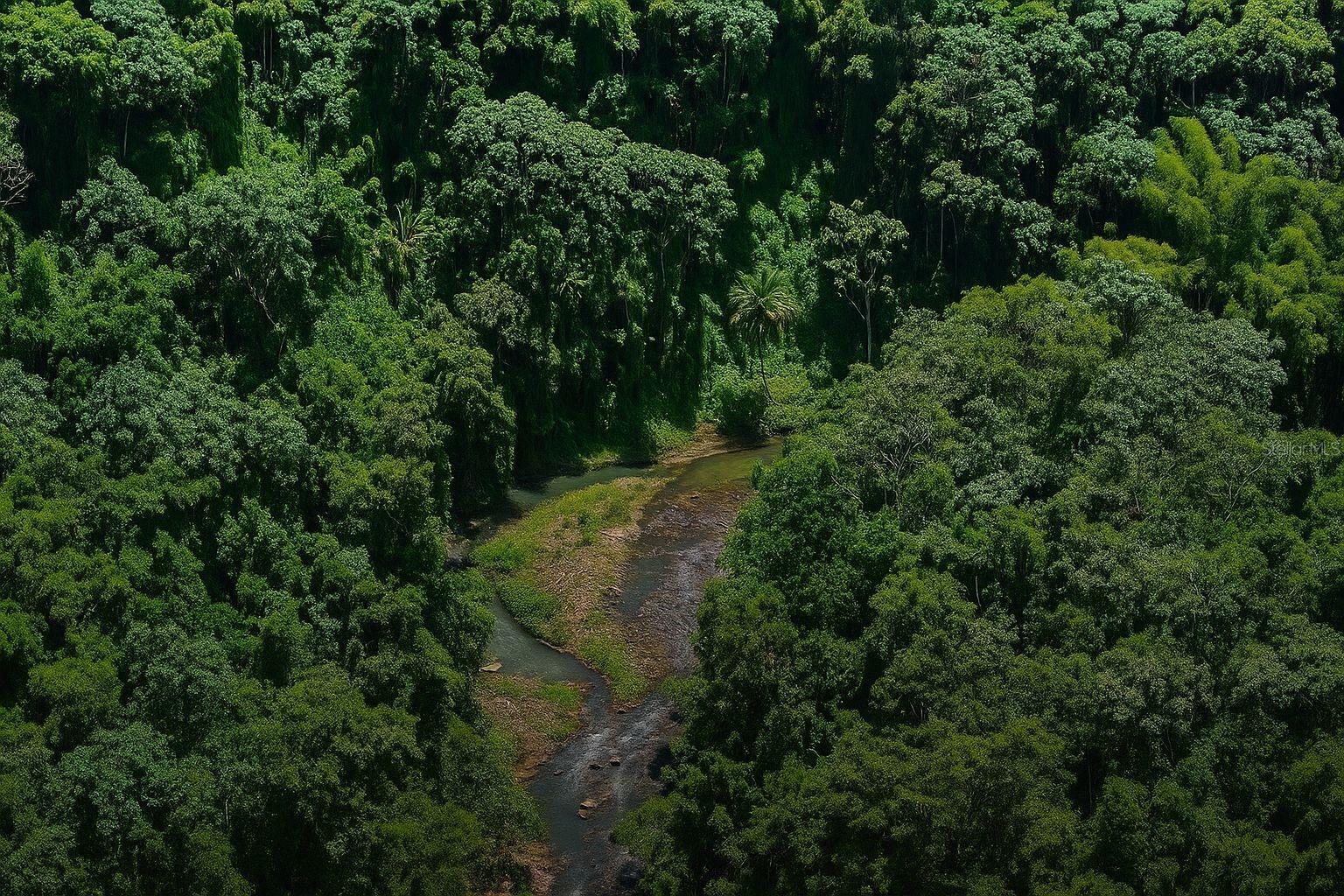 CIALES — foto 4