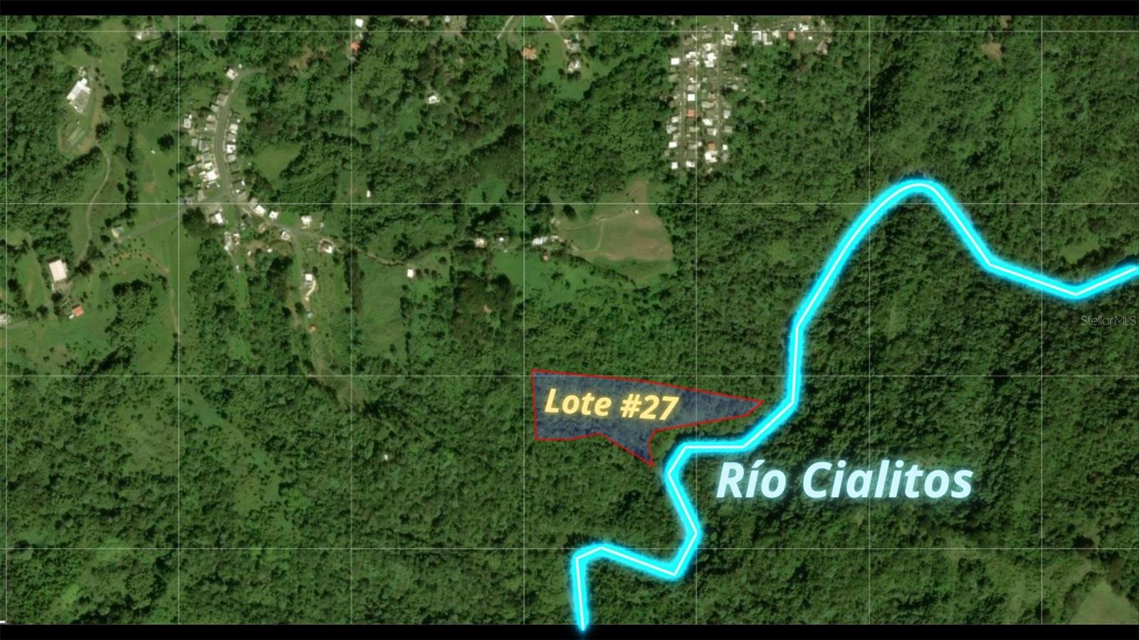 CIALES — foto 5