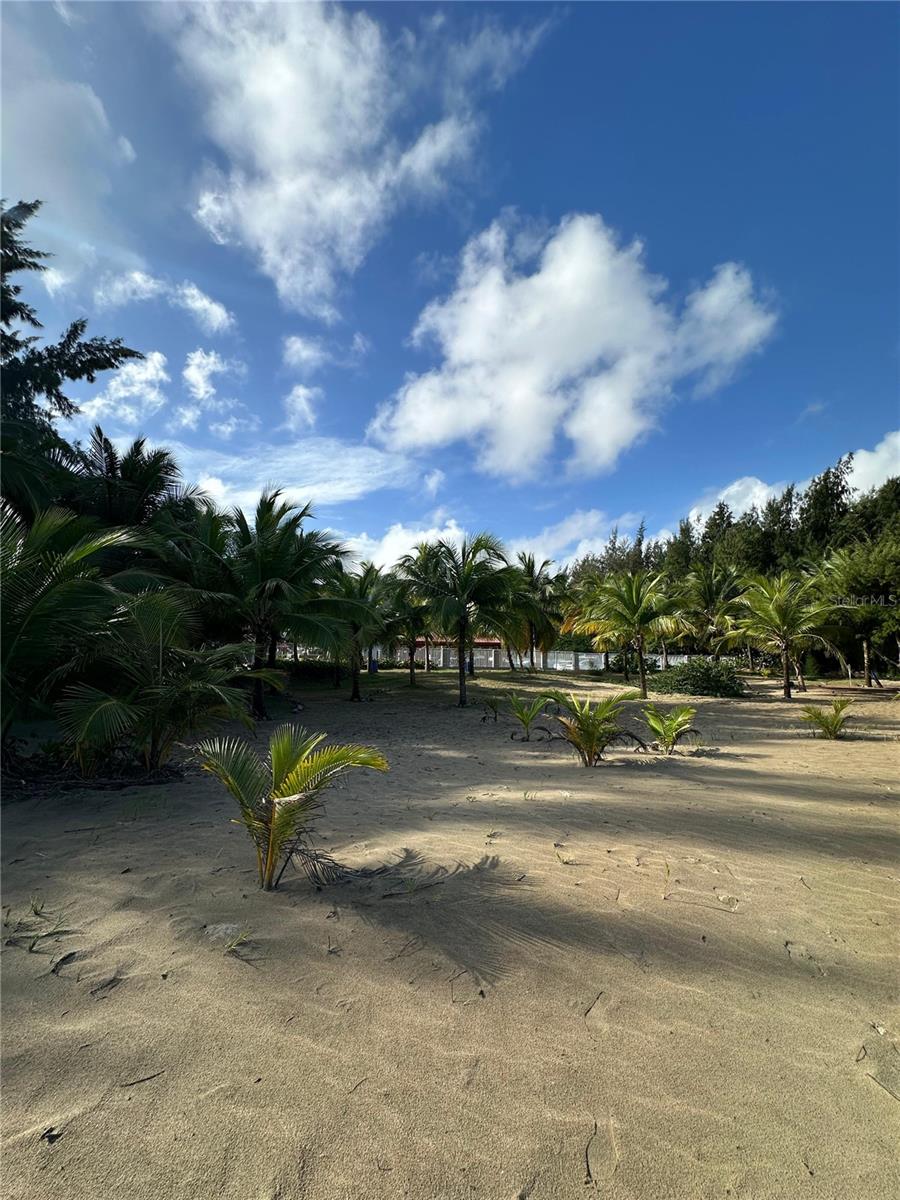 3 hab · 2 baños · LOIZA — foto 11