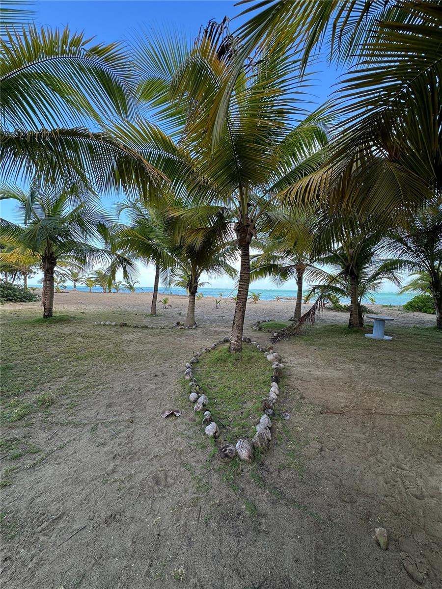 3 hab · 2 baños · LOIZA — foto 6
