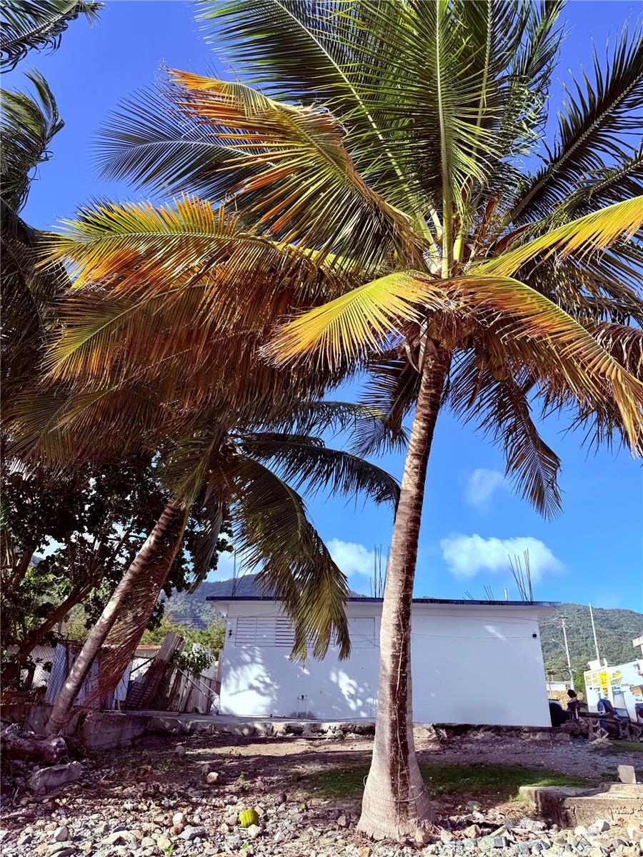 2 baños · PATILLAS — foto 4