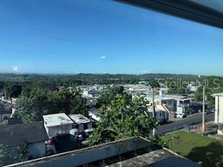 DORADO — foto 12