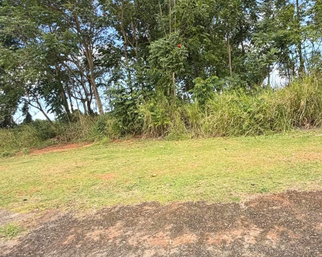 ARECIBO — foto 2