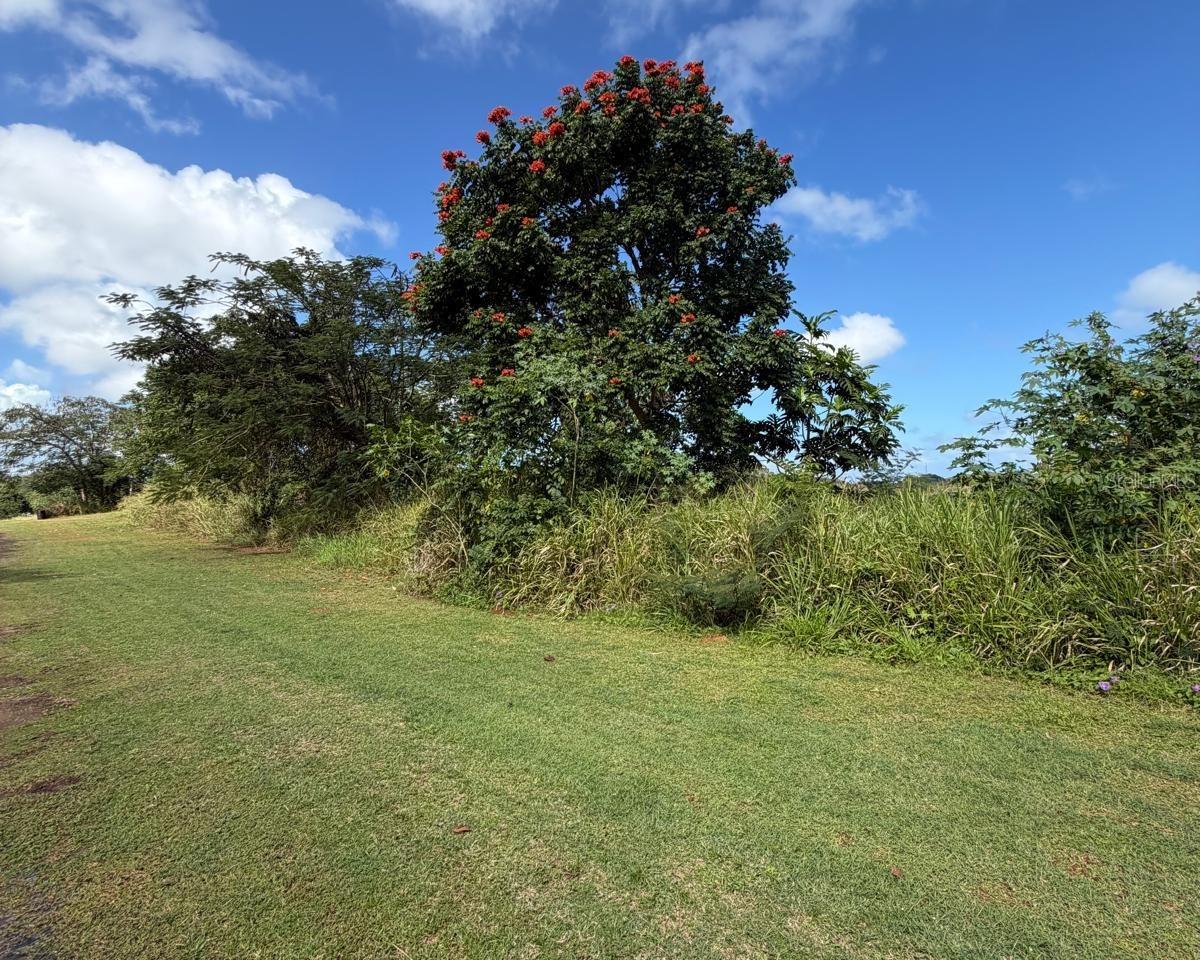 ARECIBO — foto 3