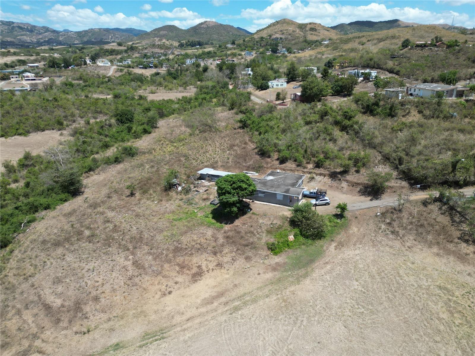 COAMO