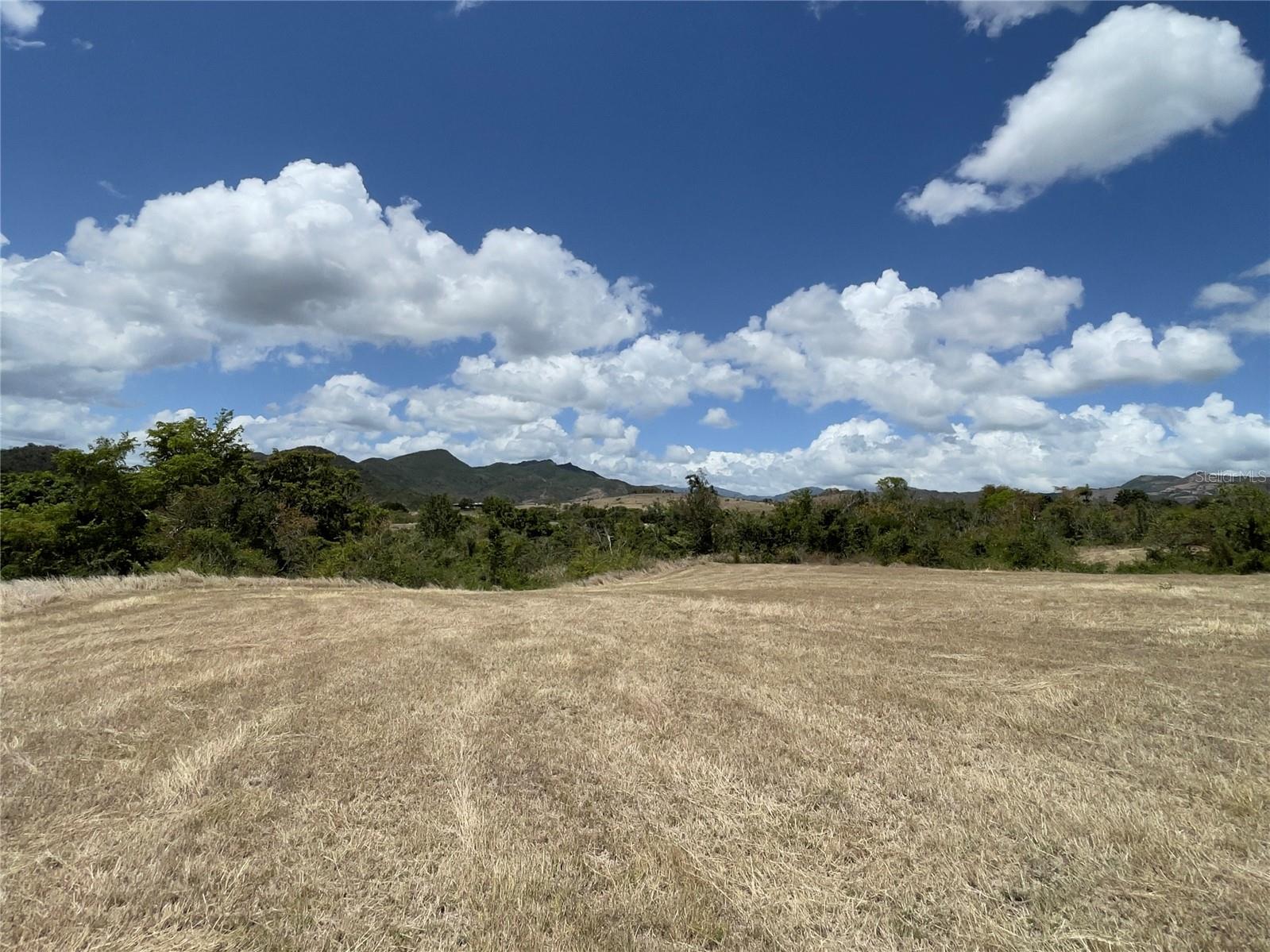 COAMO — foto 3