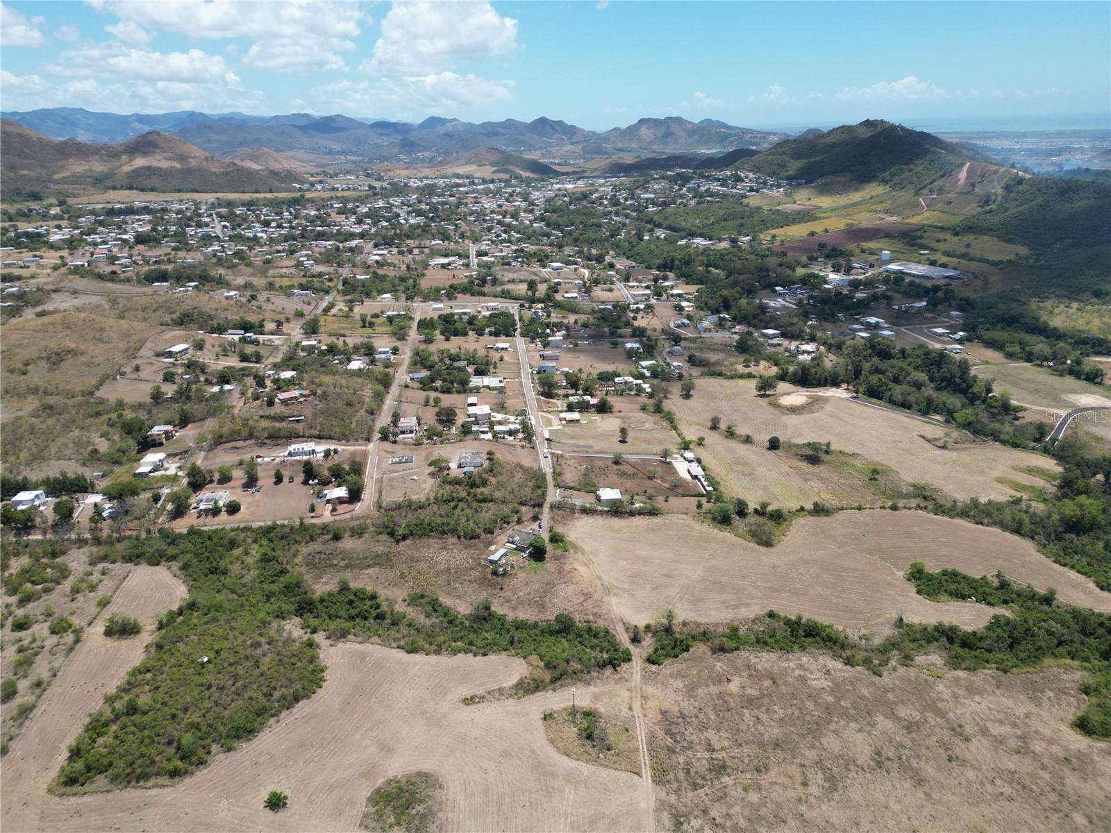 COAMO — foto 4