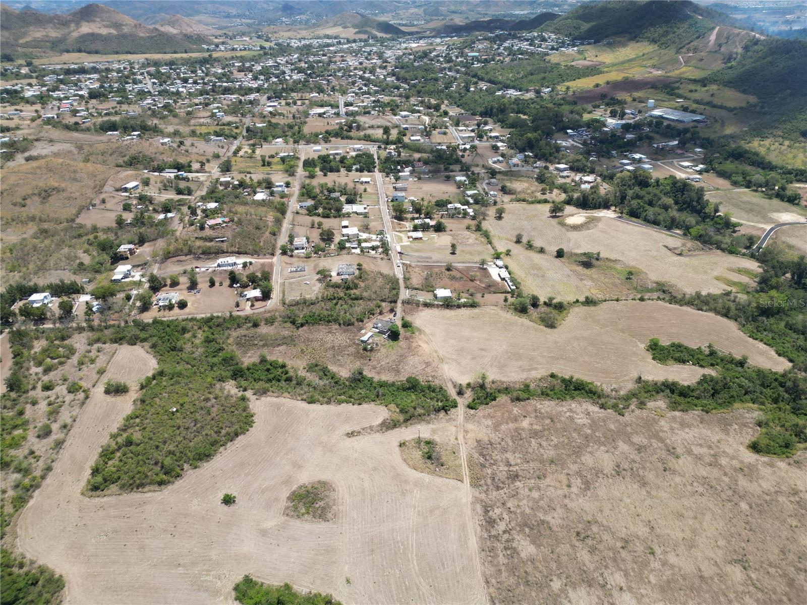 COAMO — foto 5