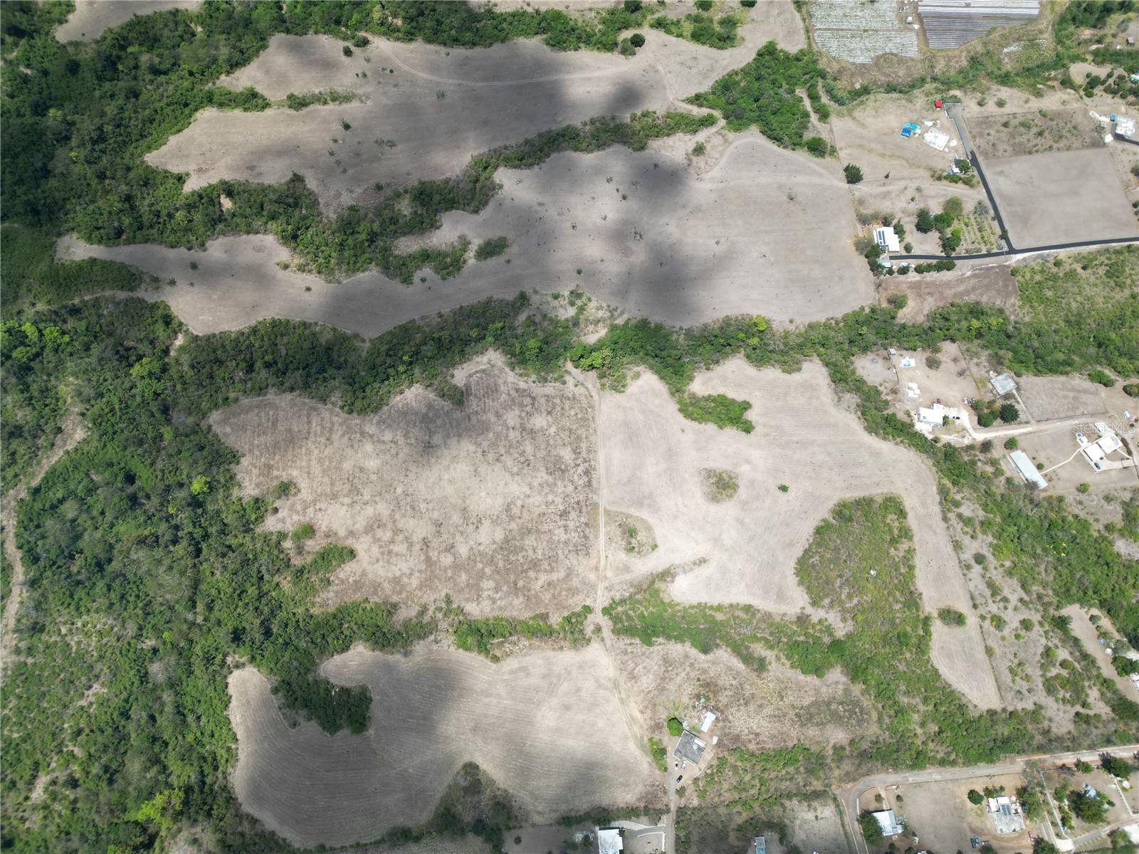 COAMO — foto 6