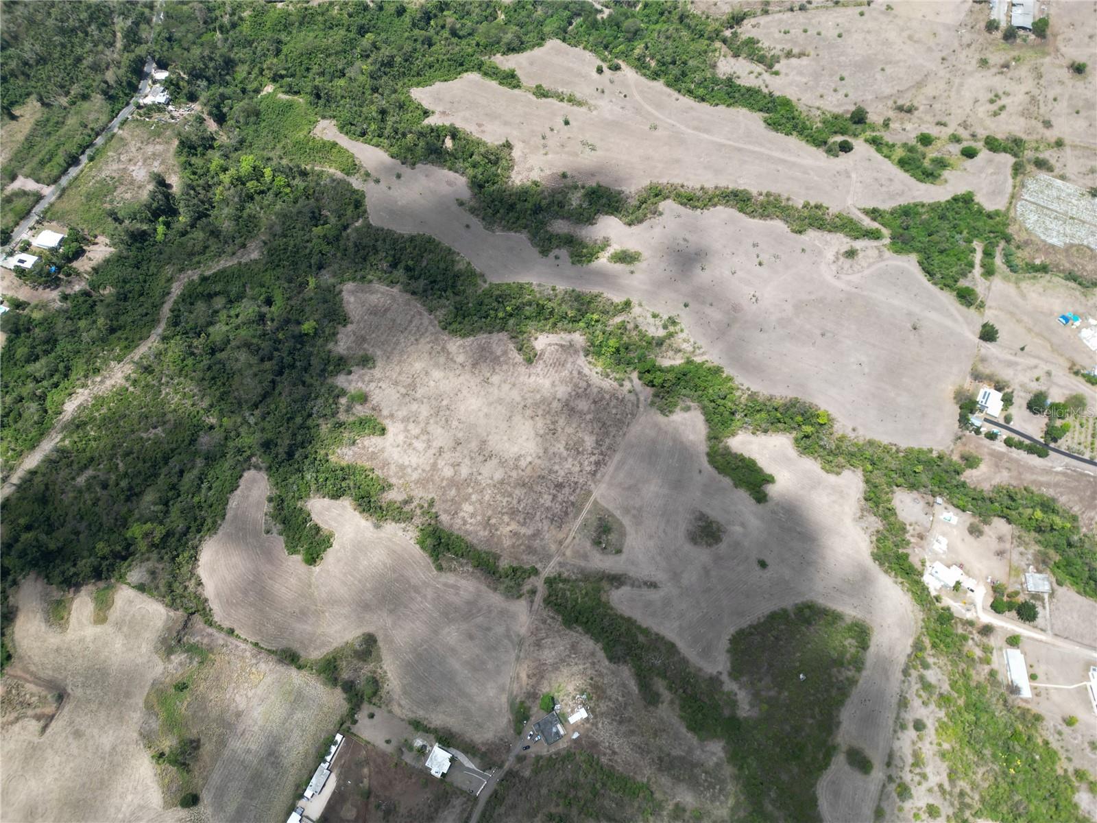 COAMO — foto 7