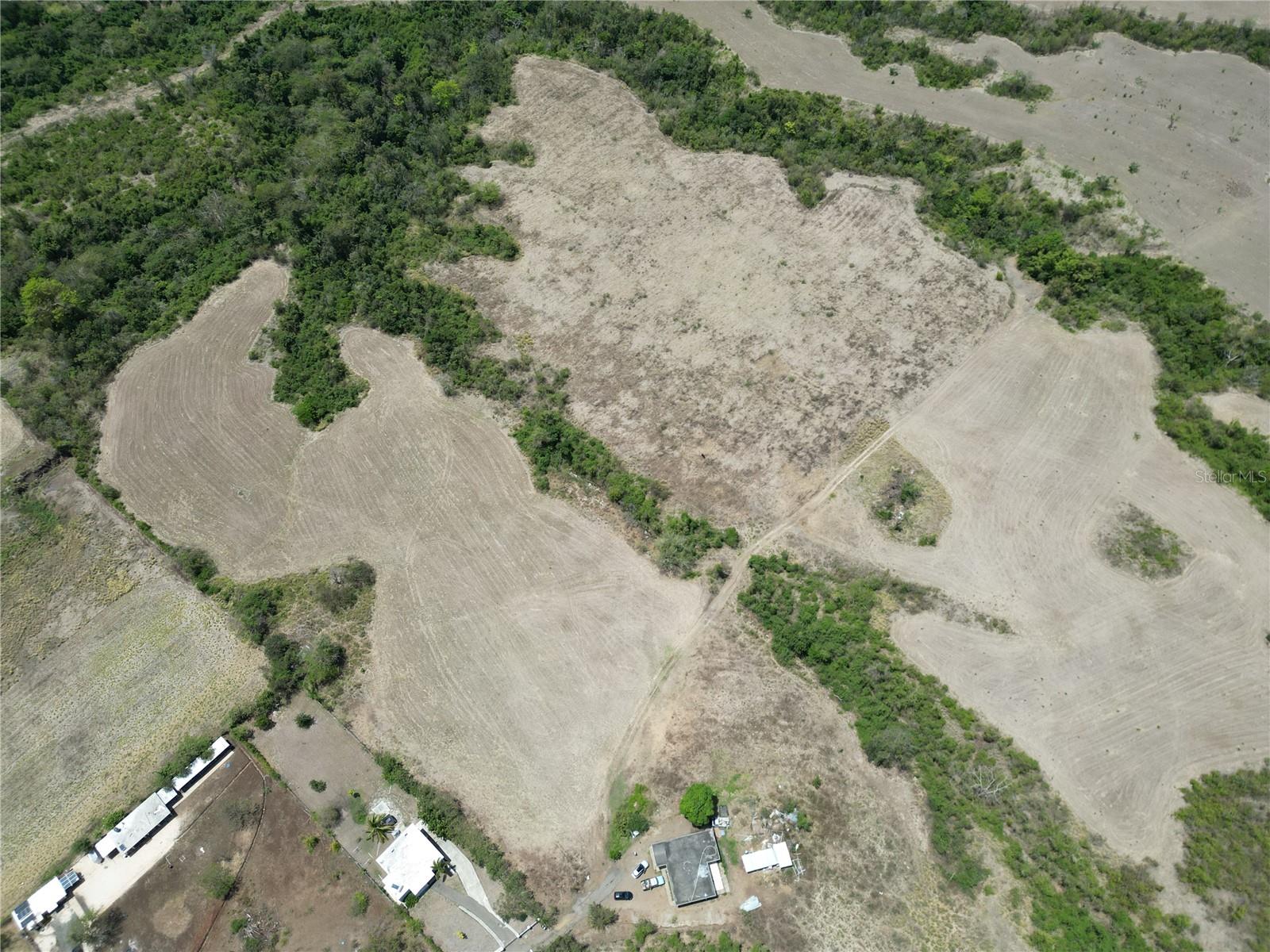 COAMO — foto 8