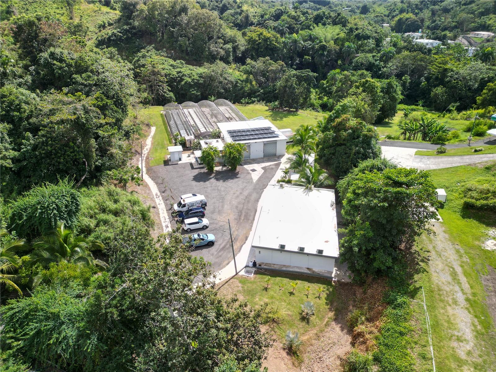 MAYAGUEZ — foto 4