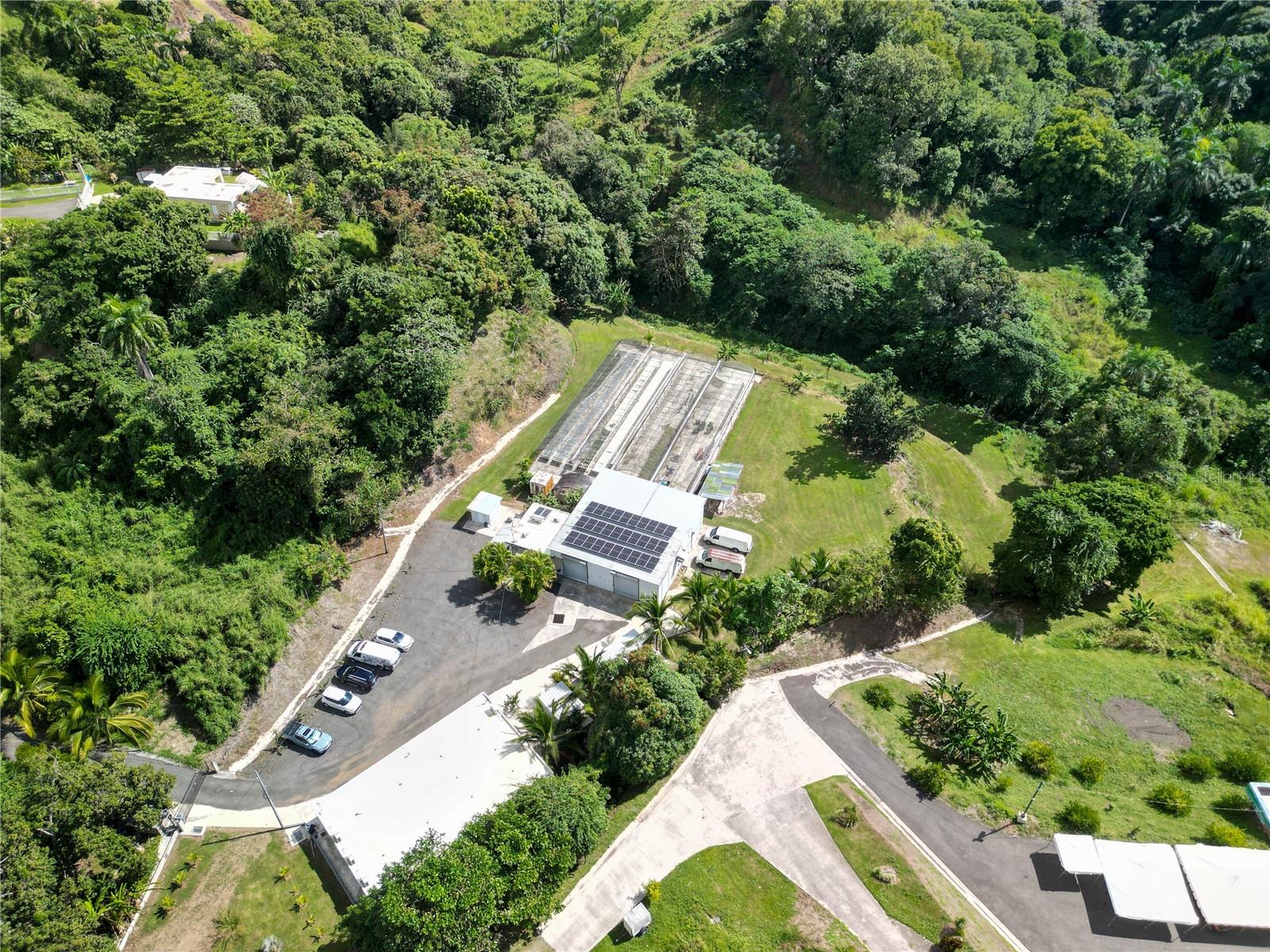 MAYAGUEZ — foto 5