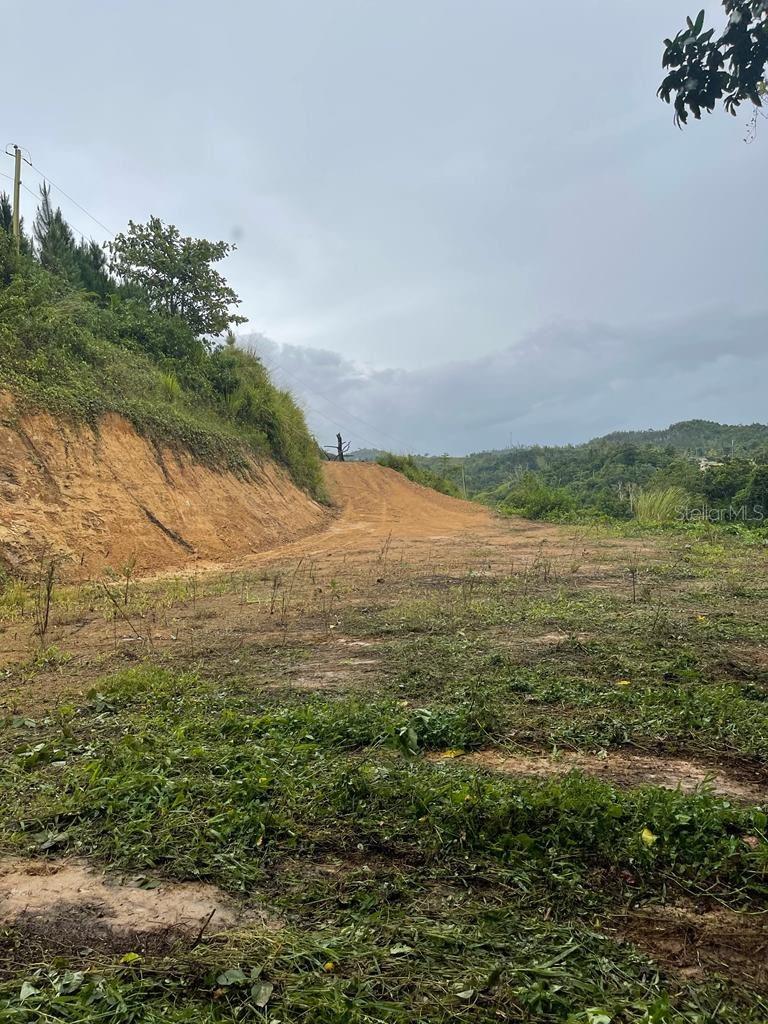CIDRA — foto 3