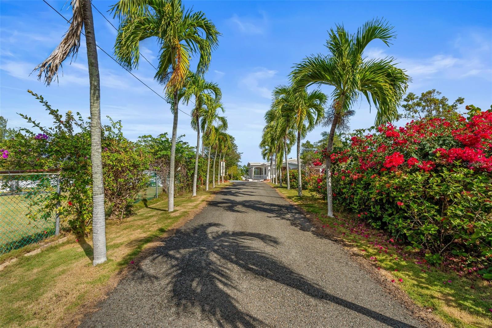 3 hab · 3 baños · ISABELA — foto 4