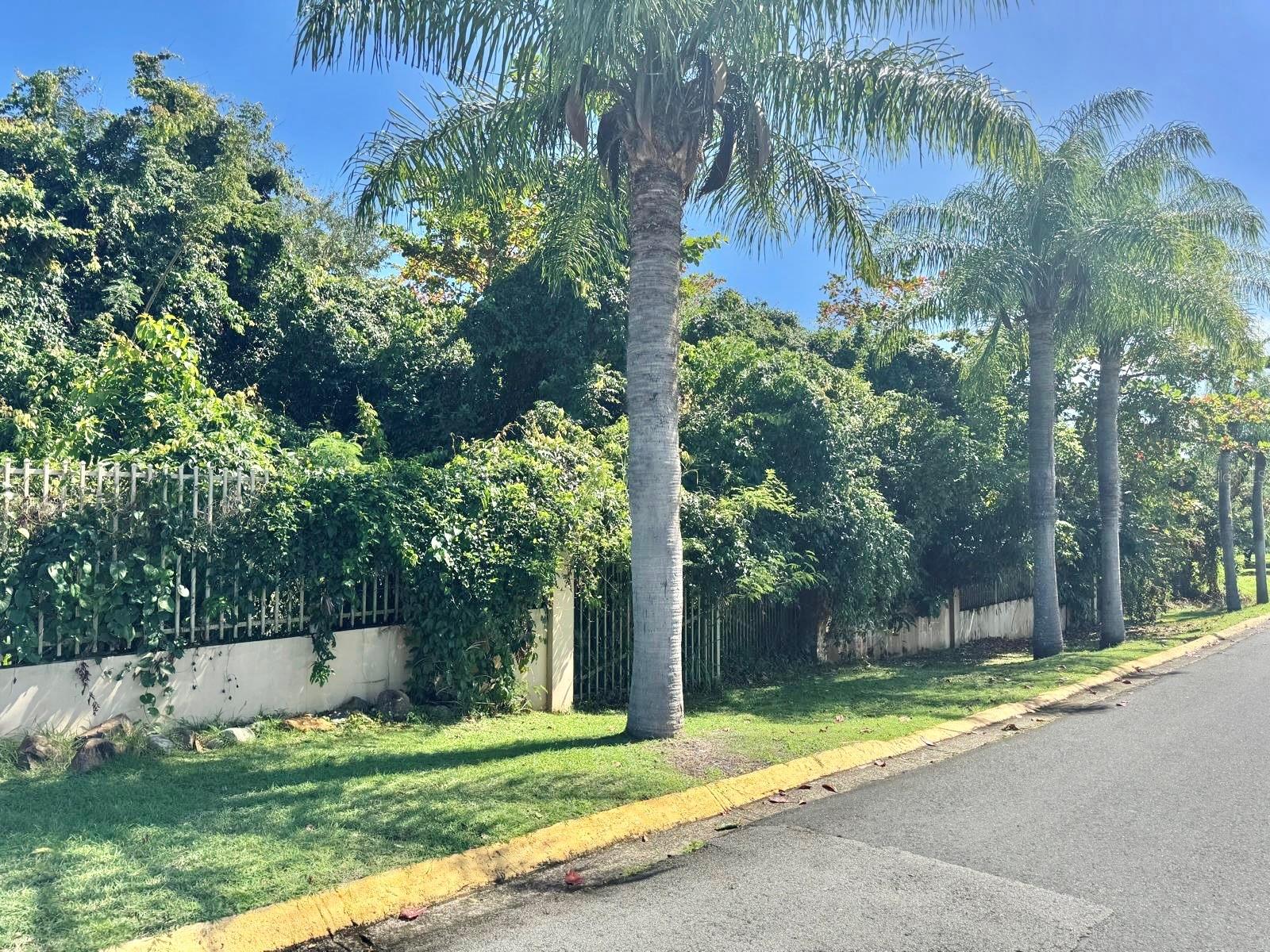 FAJARDO — foto 5