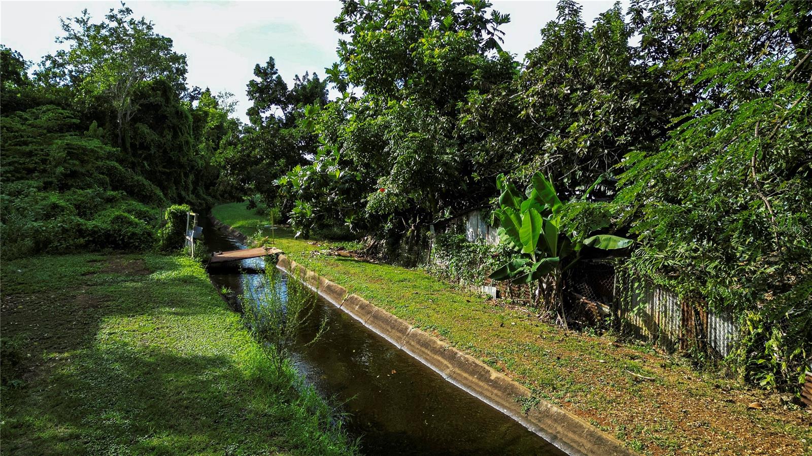 ISABELA — foto 5