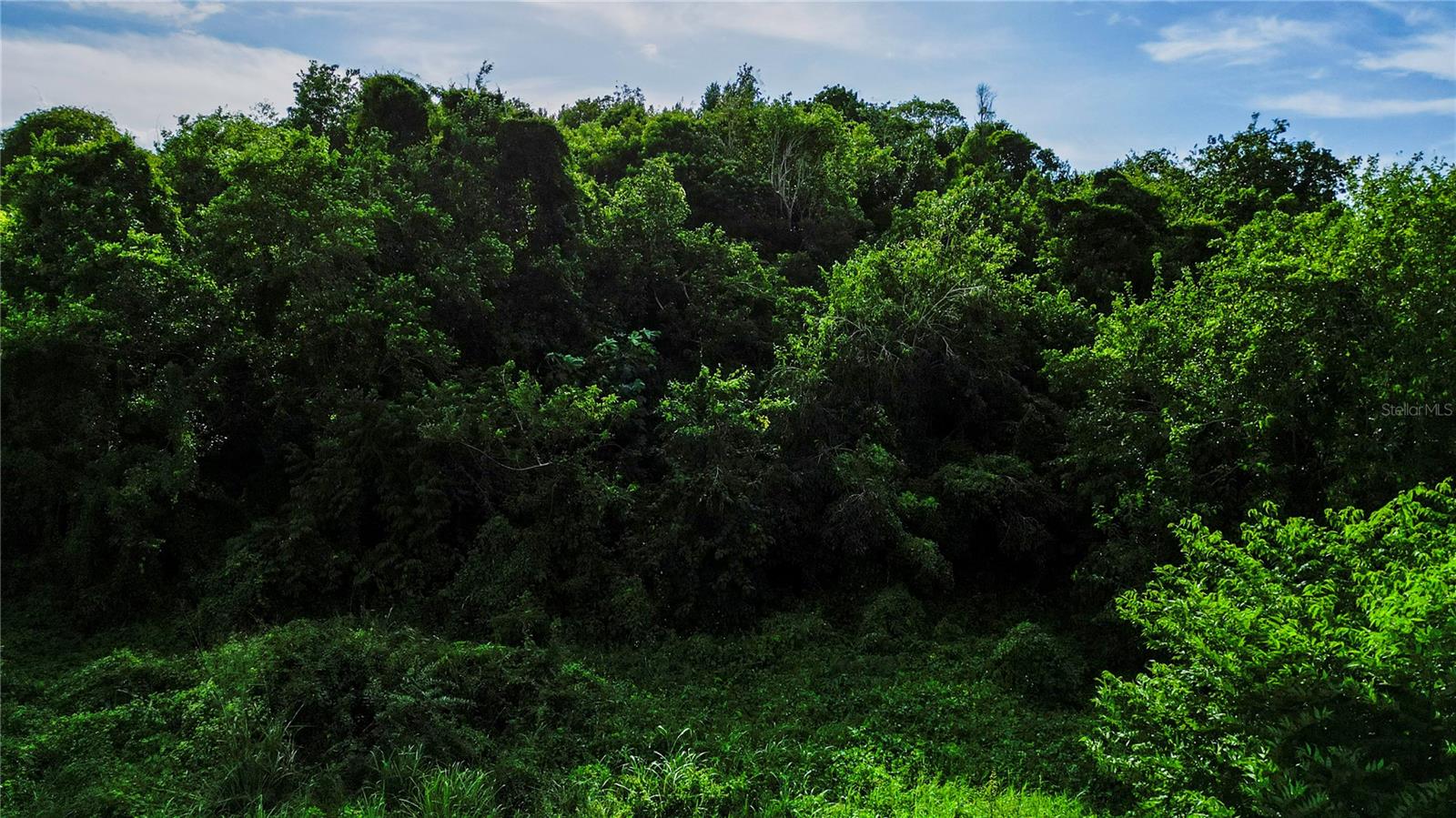 ISABELA — foto 6