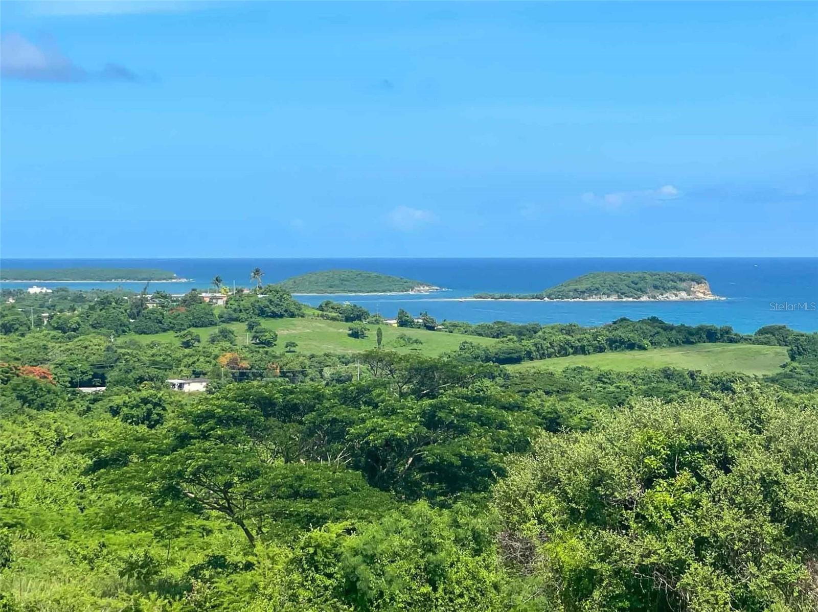 VIEQUES
