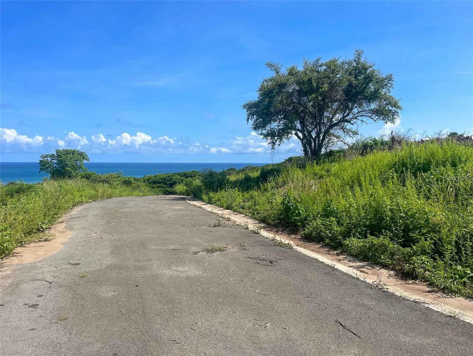 VIEQUES — foto 4