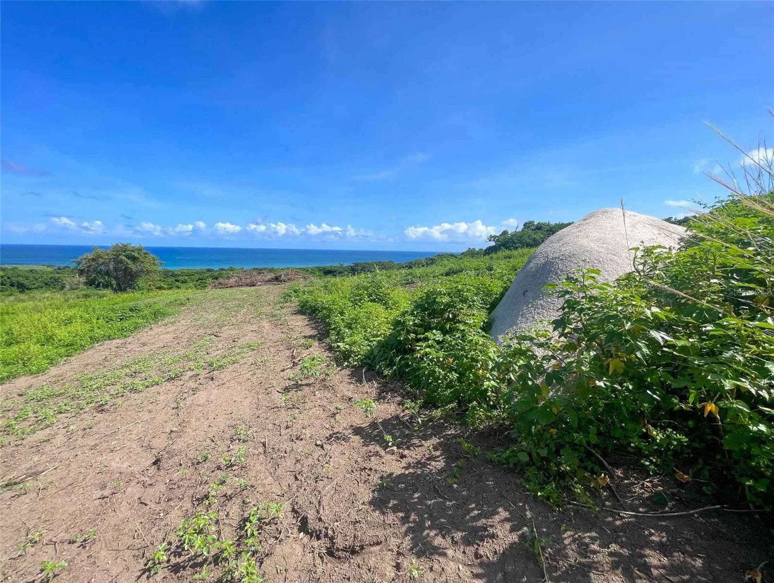 VIEQUES — foto 5