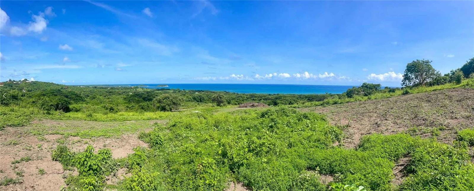 VIEQUES — foto 6