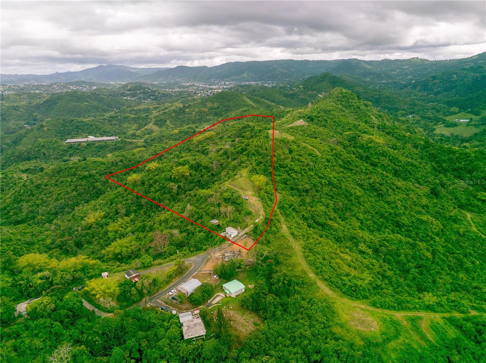 CAYEY