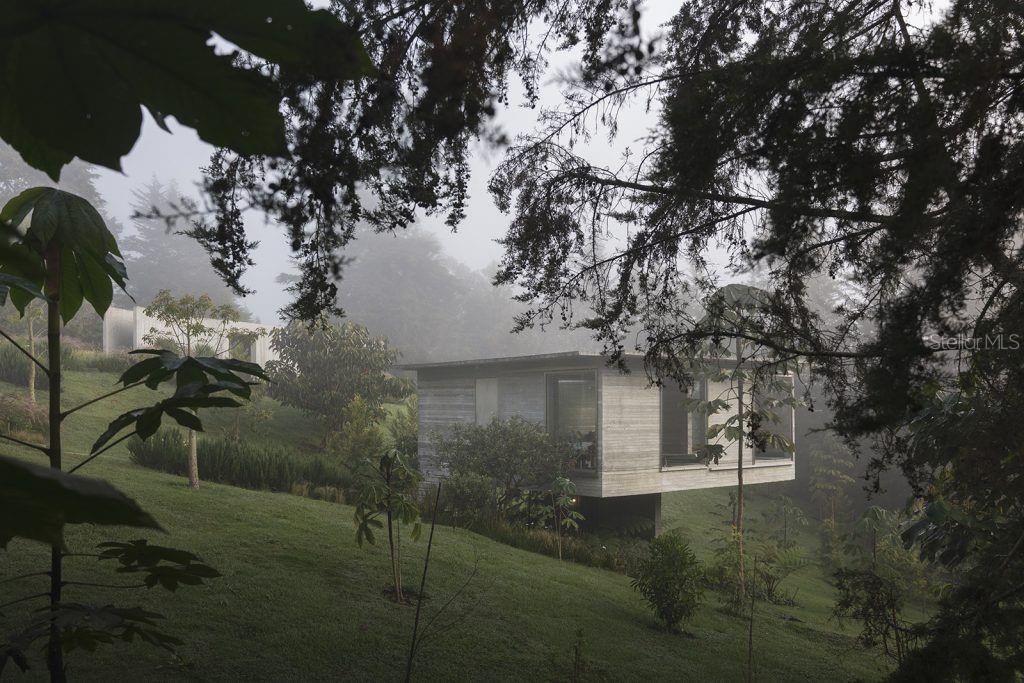 CAYEY — foto 10