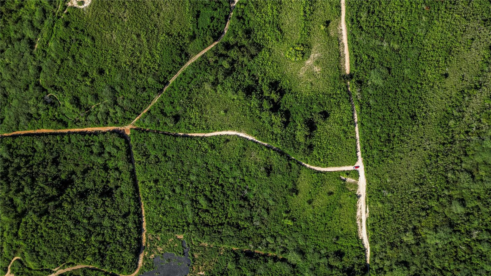 CABO ROJO — foto 2