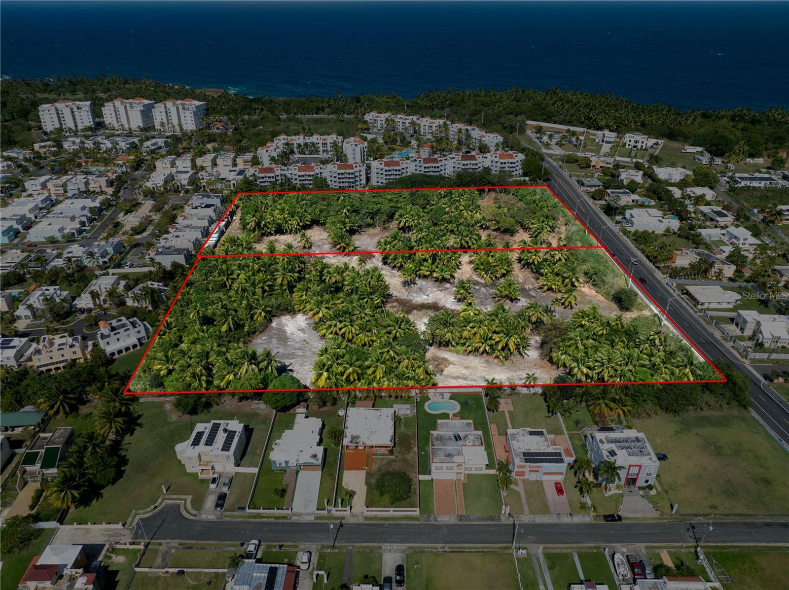VEGA ALTA — foto 2